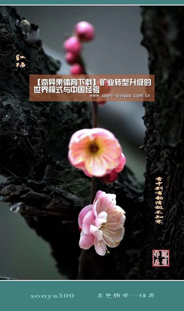 奇异果体育官网